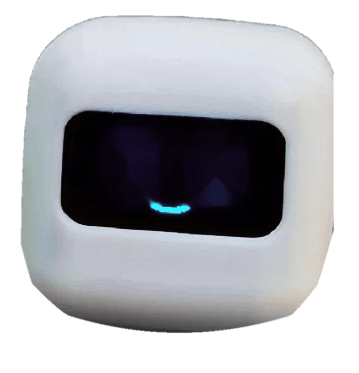 VBot, the elder care companion robot